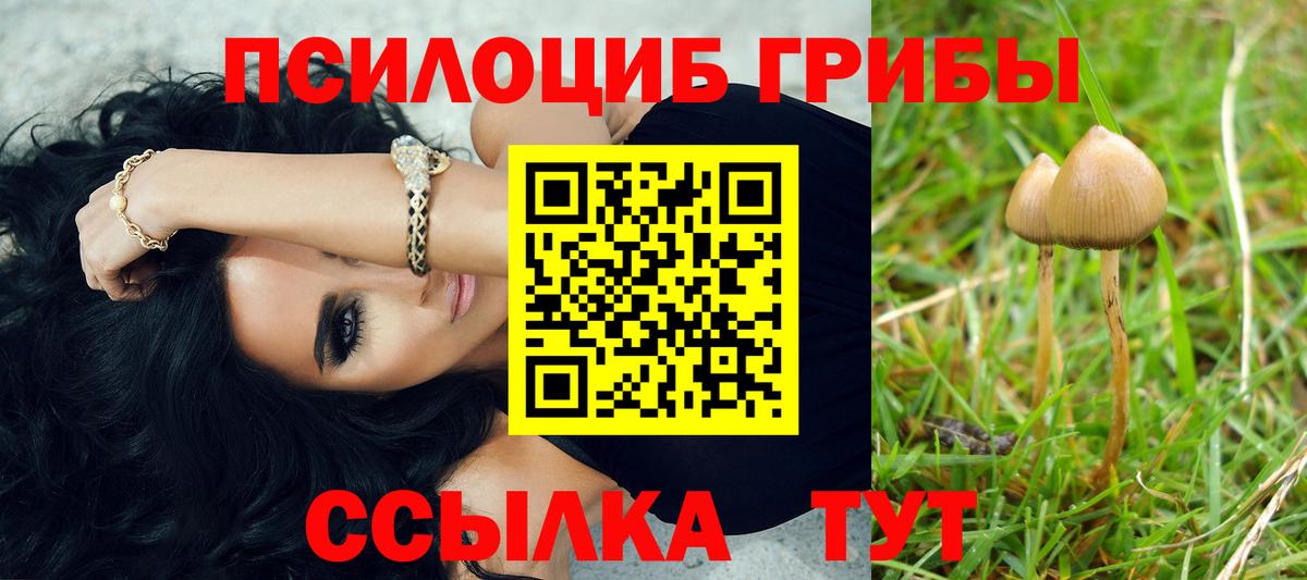 Псилоцибиновые грибы GOLDEN TEACHER Кулебаки